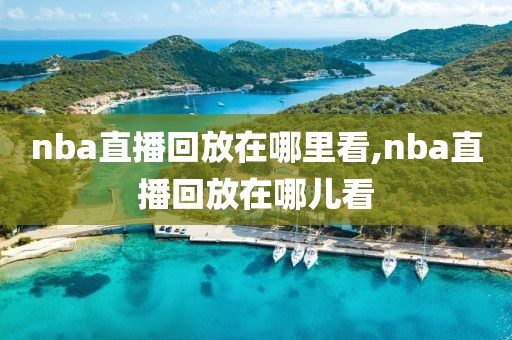 nba直播回放在哪里看,nba直播回放在哪儿看