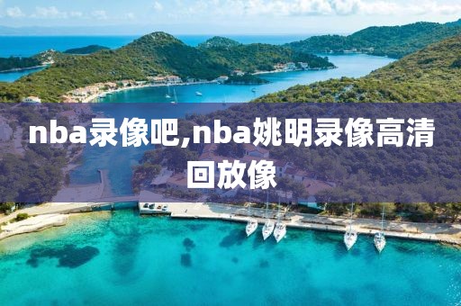 nba录像吧,nba姚明录像高清回放像