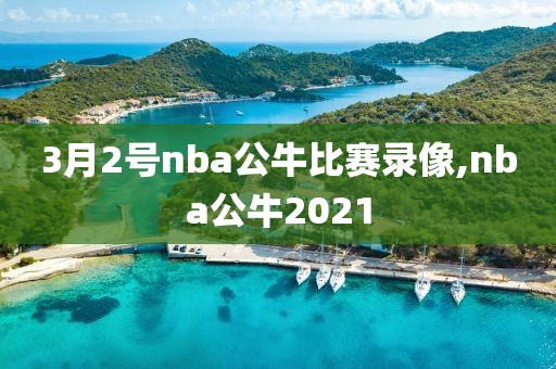 3月2号nba公牛比赛录像,nba公牛2021