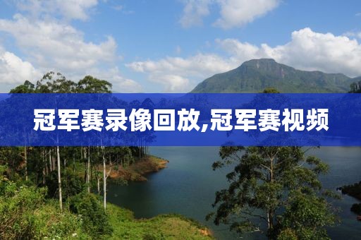 冠军赛录像回放,冠军赛视频