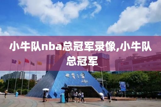小牛队nba总冠军录像,小牛队 总冠军