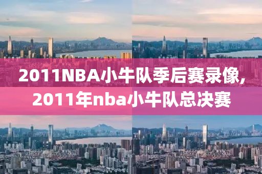 2011NBA小牛队季后赛录像,2011年nba小牛队总决赛