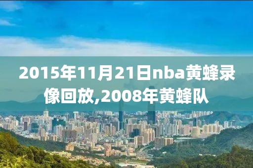 2015年11月21日nba黄蜂录像回放,2008年黄蜂队