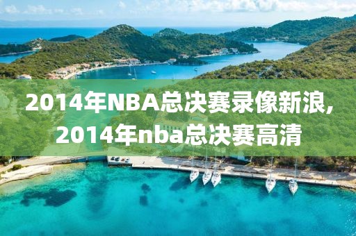 2014年NBA总决赛录像新浪,2014年nba总决赛高清