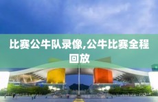 比赛公牛队录像,公牛比赛全程回放