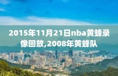 2015年11月21日nba黄蜂录像回放,2008年黄蜂队