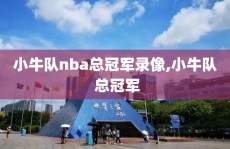小牛队nba总冠军录像,小牛队 总冠军