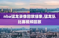 nba猛龙录像回放绿象,猛龙队比赛视频回放