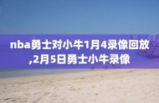 nba勇士对小牛1月4录像回放,2月5日勇士小牛录像