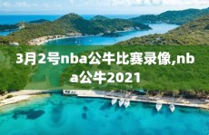 3月2号nba公牛比赛录像,nba公牛2021